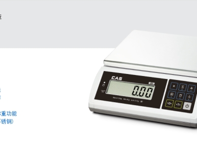 韓國CAS凱士ED/ED-H電子計(jì)重秤 單純重量秤