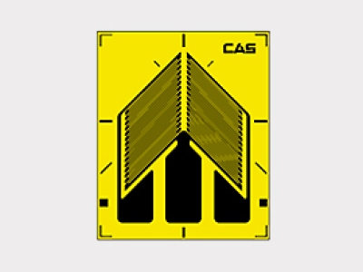韓國CAS凱士Double Shear T-Series 應(yīng)變器